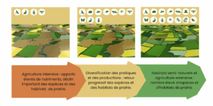 schéma agriculture biodiversité