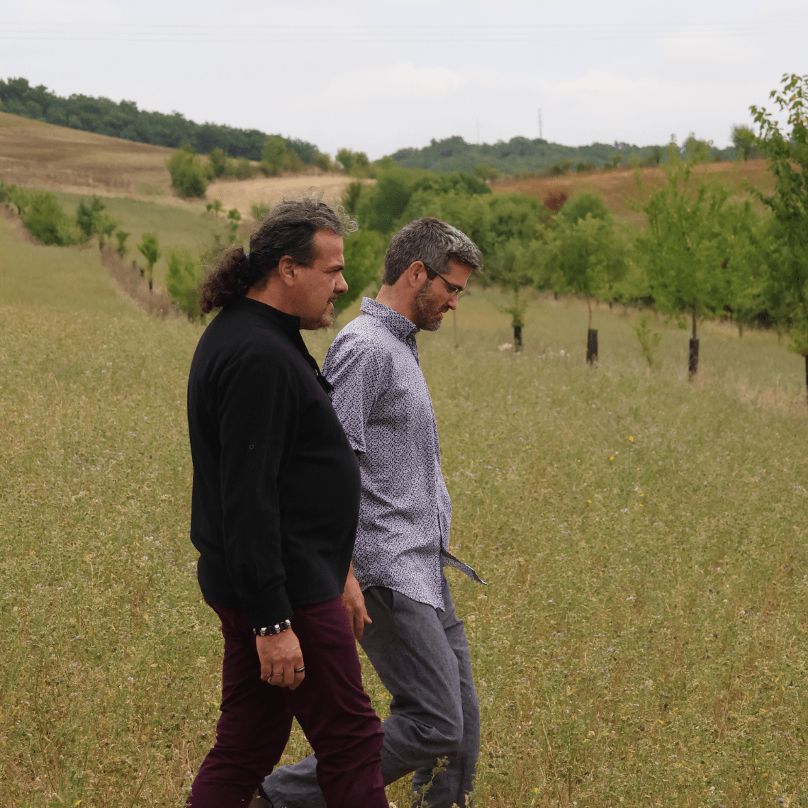 Fabien Balaguer et Philippe Brion