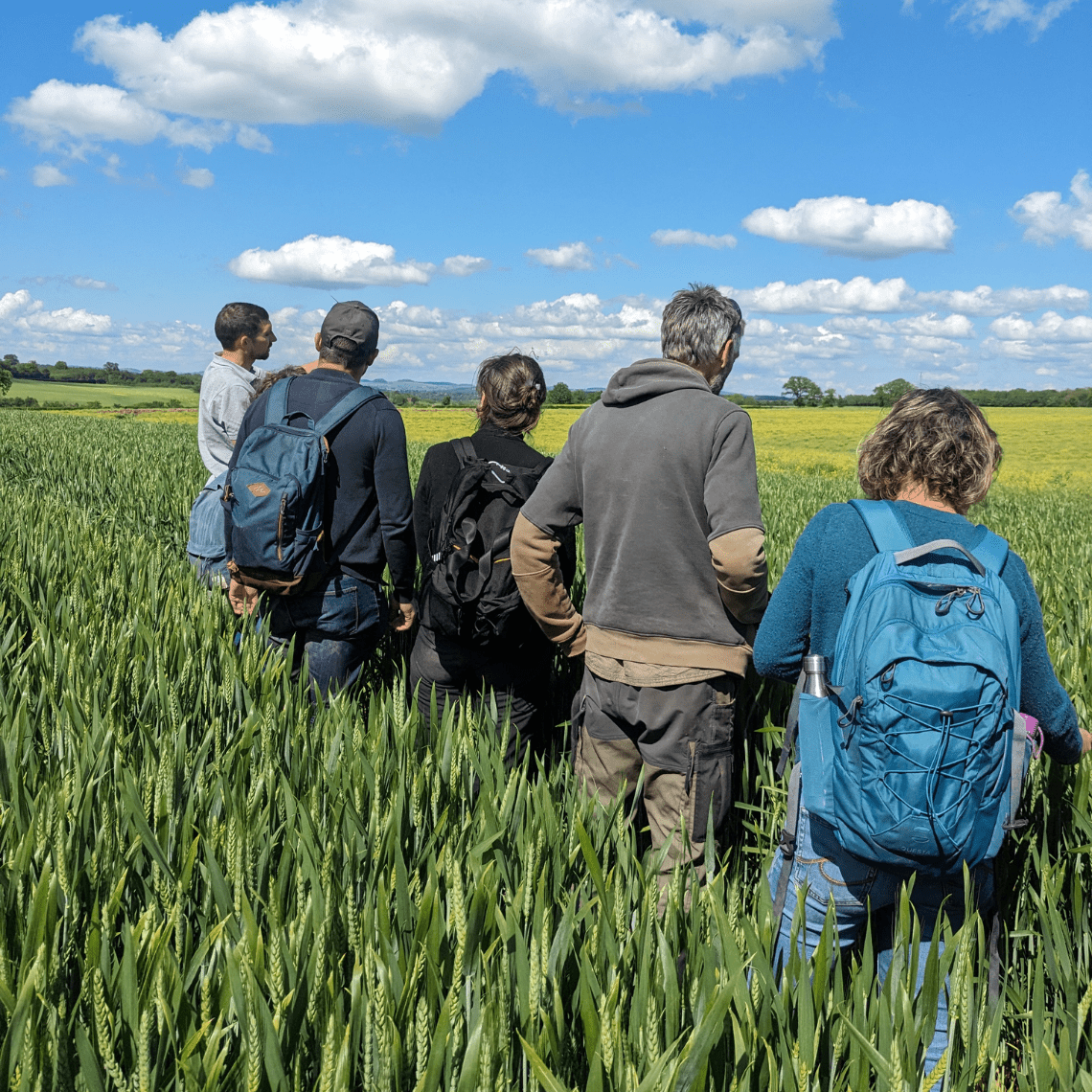 Ecole Française d'Agroforesterie
