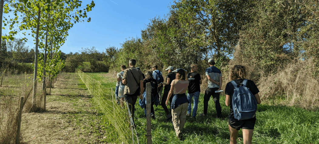 Groupe Ecole Française d'Agroforesterie