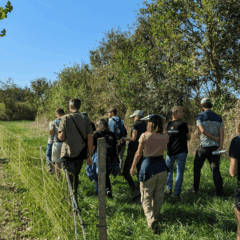 Groupe Ecole Française d'Agroforesterie
