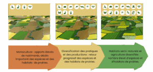 Schéma agriculture et biodiversité
