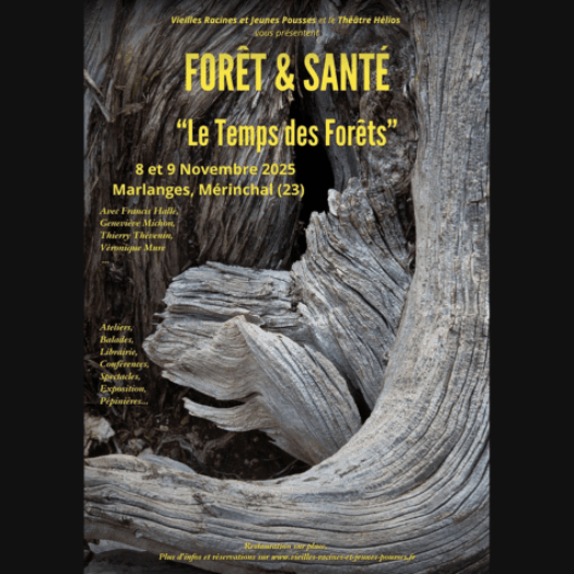 Affiche 4es Rencontres Forêt et santé