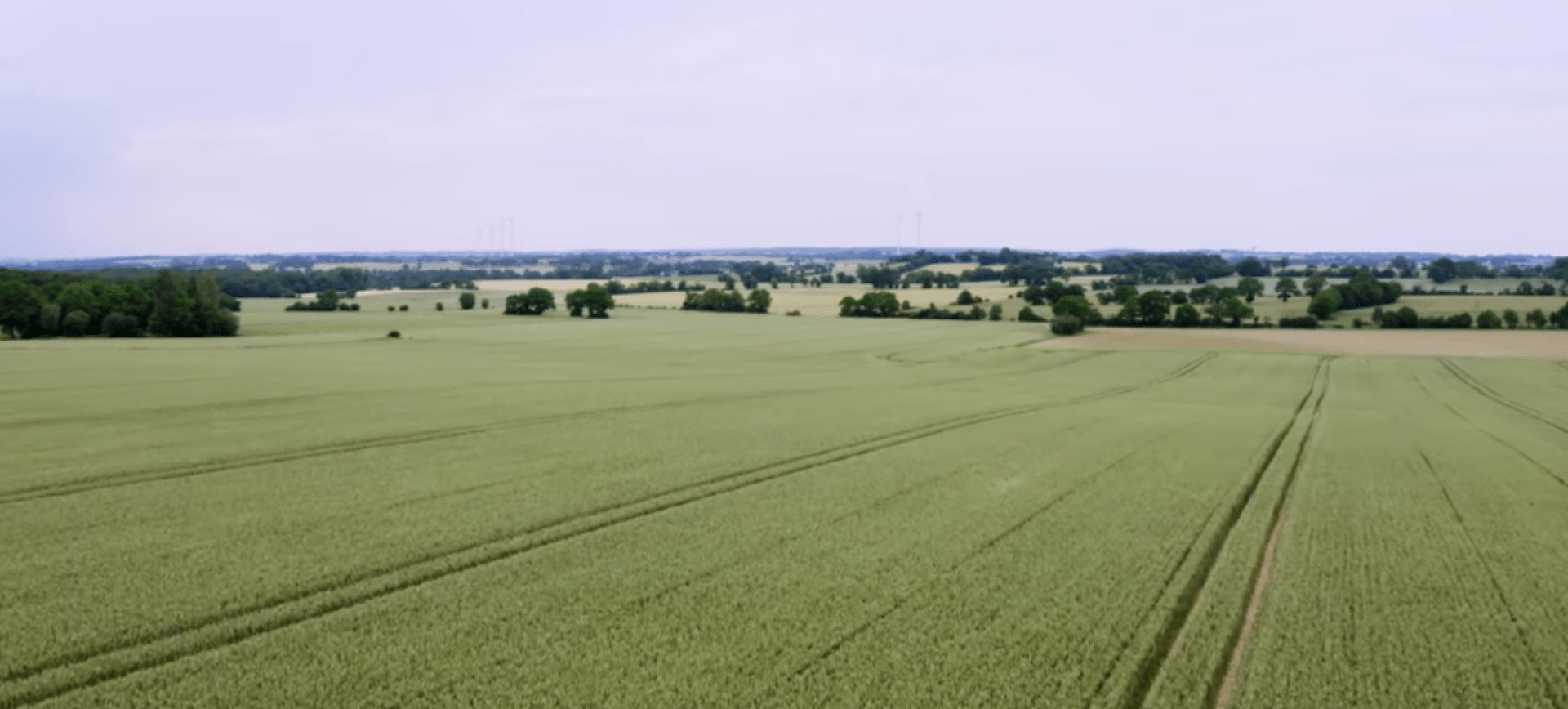 Film Le village qui voulait replanter des arbres