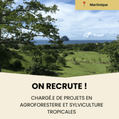 Offre d'emploi