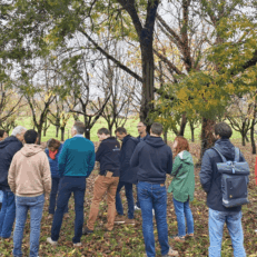 Groupe sous pacanier