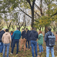 Groupe sous pacanier