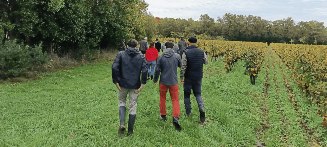 Groupe Domaine Emile Grelier