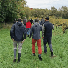 Groupe Domaine Emile Grelier