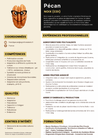 CV Noix de pécan