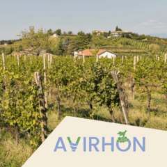 Actualités projet AVIRHON