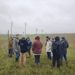 Groupe dans un champ