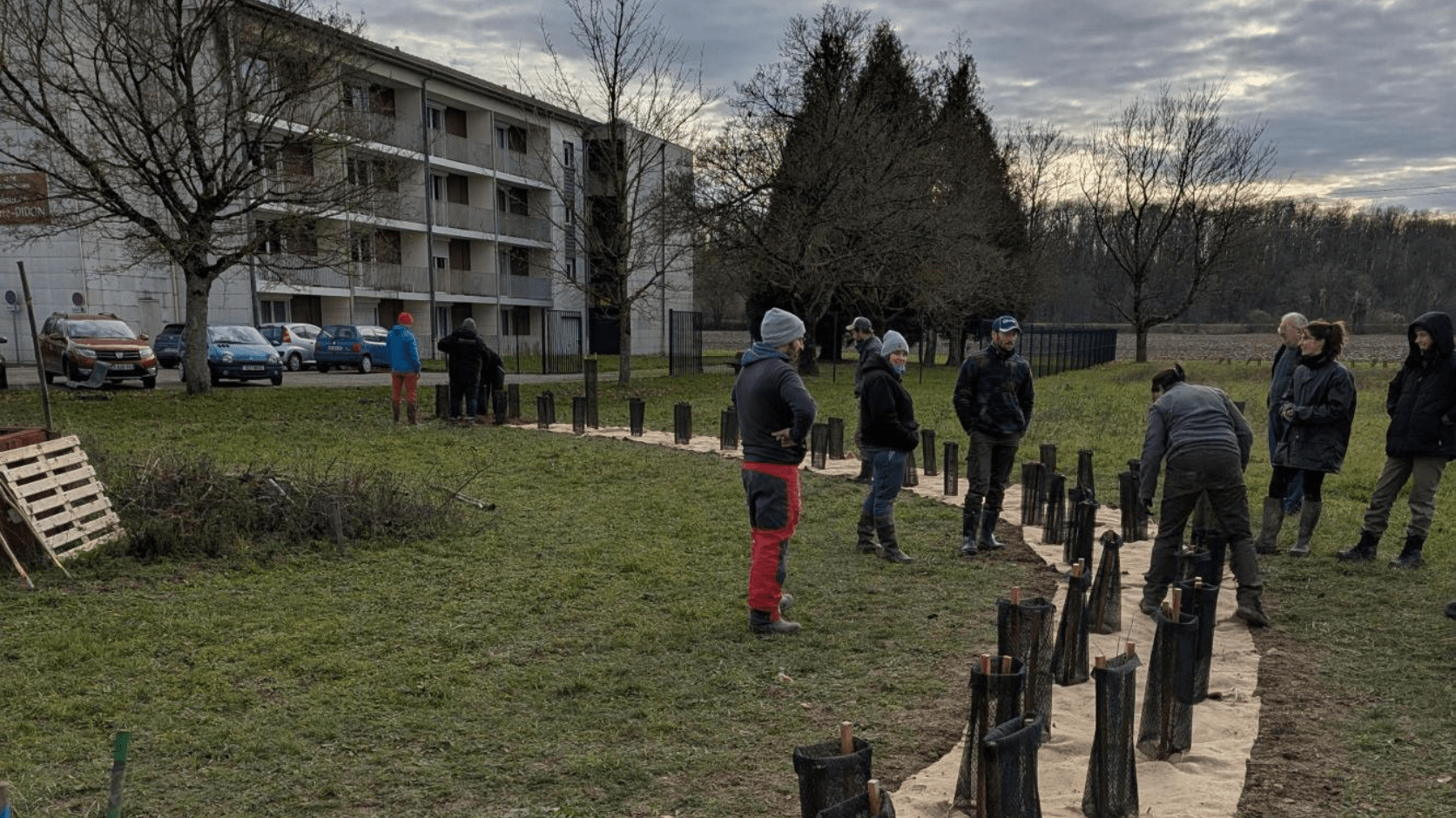 Groupe en plantation