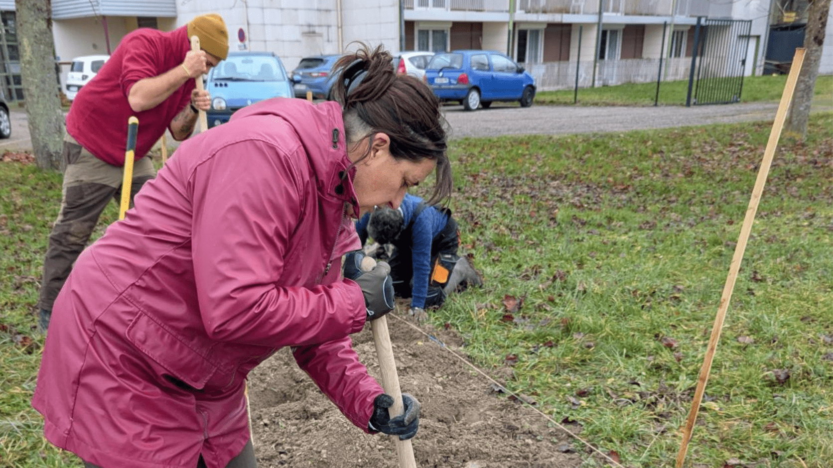 Groupe en plantation