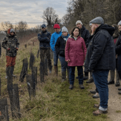 Groupe sur le terrain