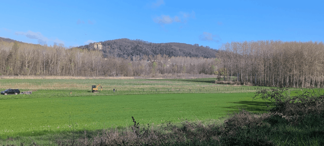Chantier de plantation de peupliers