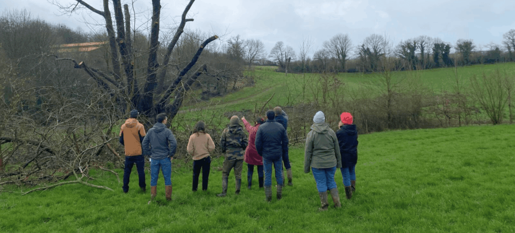 Groupe devant un châtaigner taillé