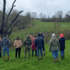 Groupe devant un châtaigner taillé