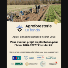 Appel à Manifestation d'Intérêt