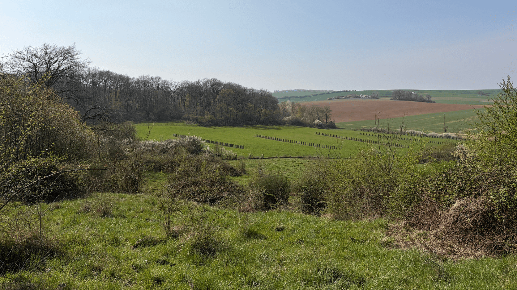 Ferme agroforestière