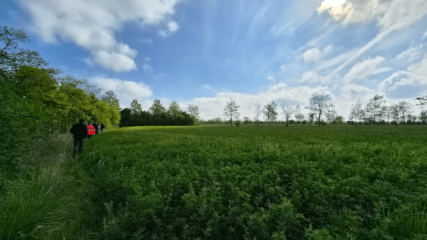 Groupe dans un champ