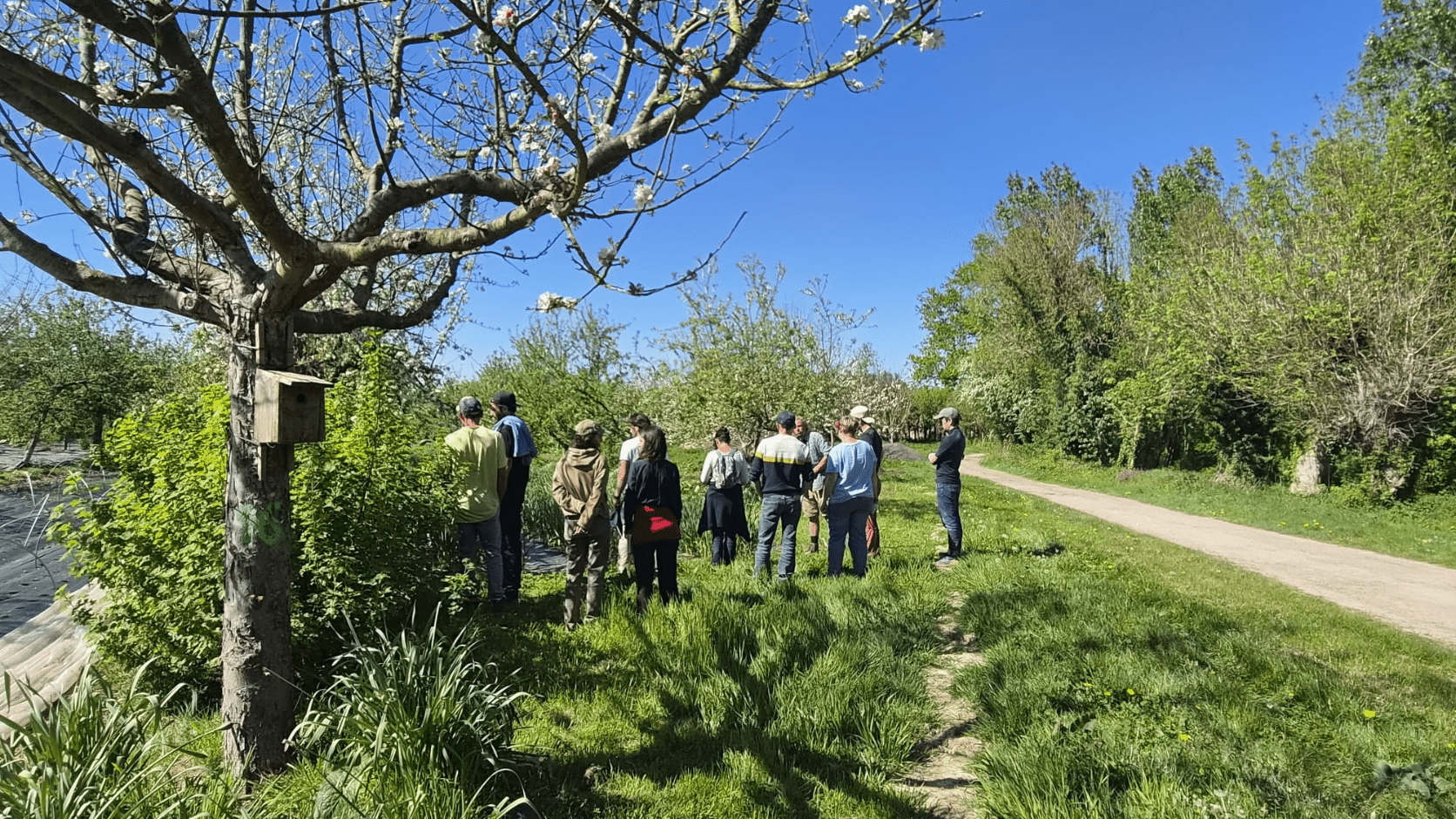 Groupe sur une ferme maraîchère