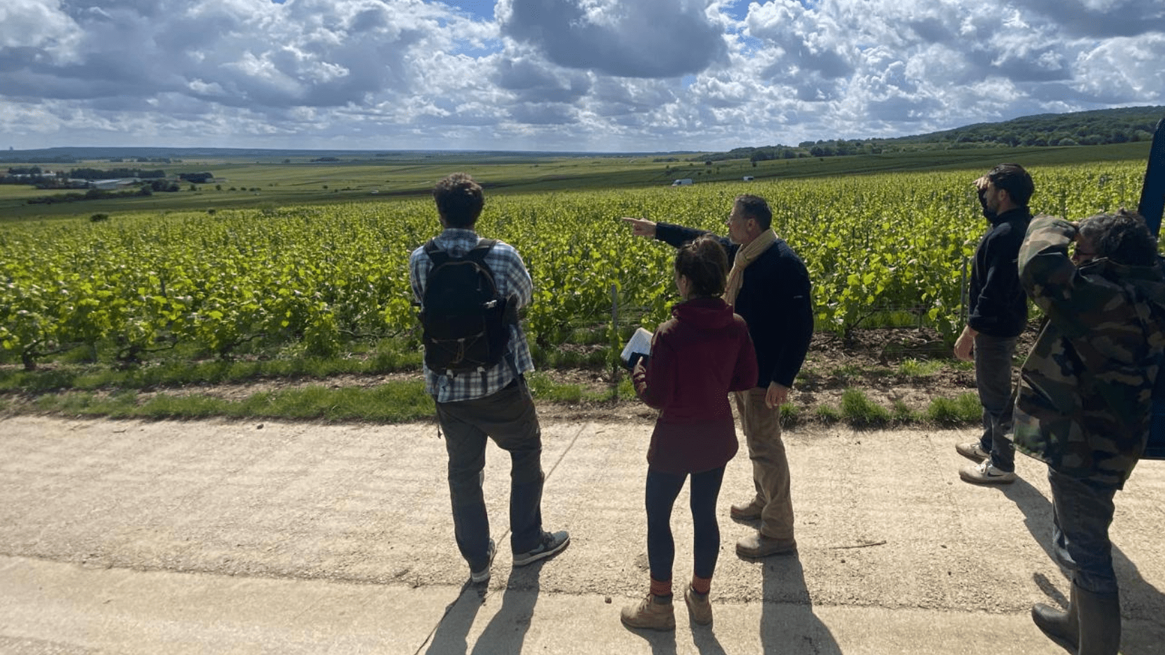 groupe dans des vignes