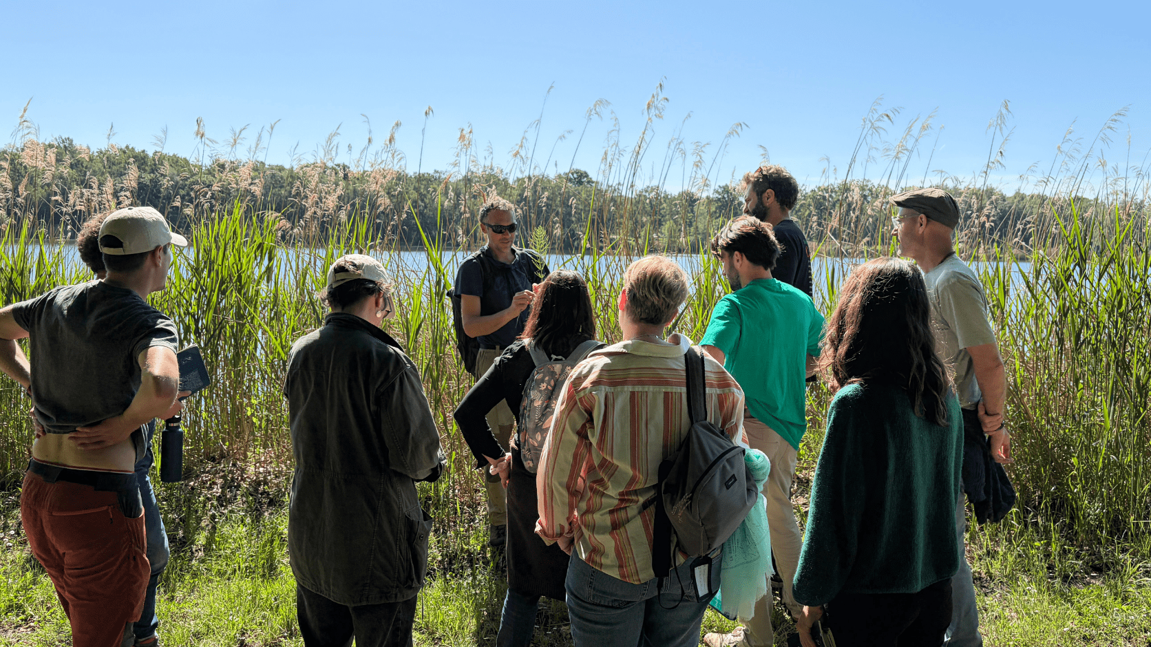 Explications plantes bioindicatrices