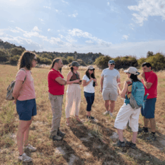 groupe personnes pyrenaf